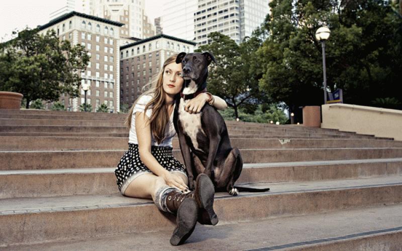 Zsírok és olajok szerepe a kutyatápban - Miért nem ellenség a zsír?