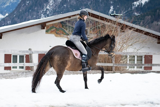 Lovak immunerősítése - Kell-e a fokozott figyelem télen?