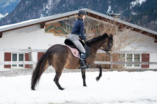 Lovak immunerősítése - Kell-e a fokozott figyelem télen?